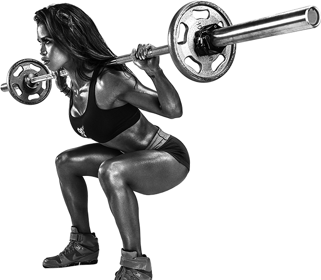 Muscle and Fitness