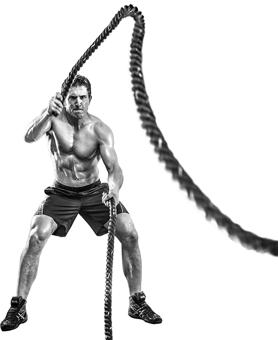 Muscle and Fitness