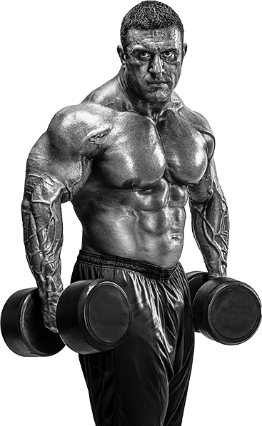 Muscle and Fitness