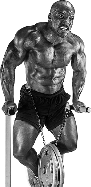 Muscle and Fitness